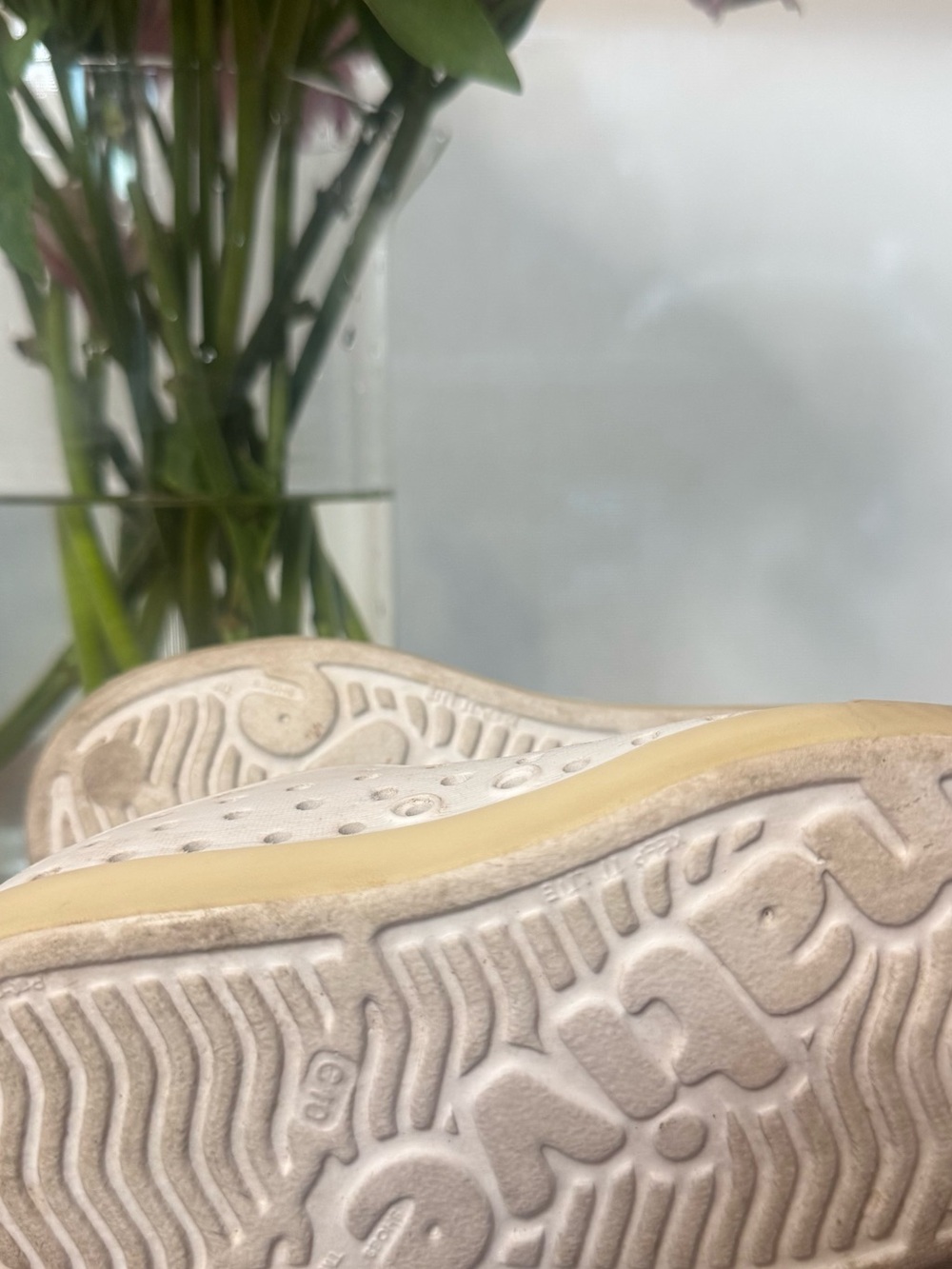 Native Shoes Kids Jefferson Sneakers with Jellyfish Graphic🪼 - Picture 4 of 5